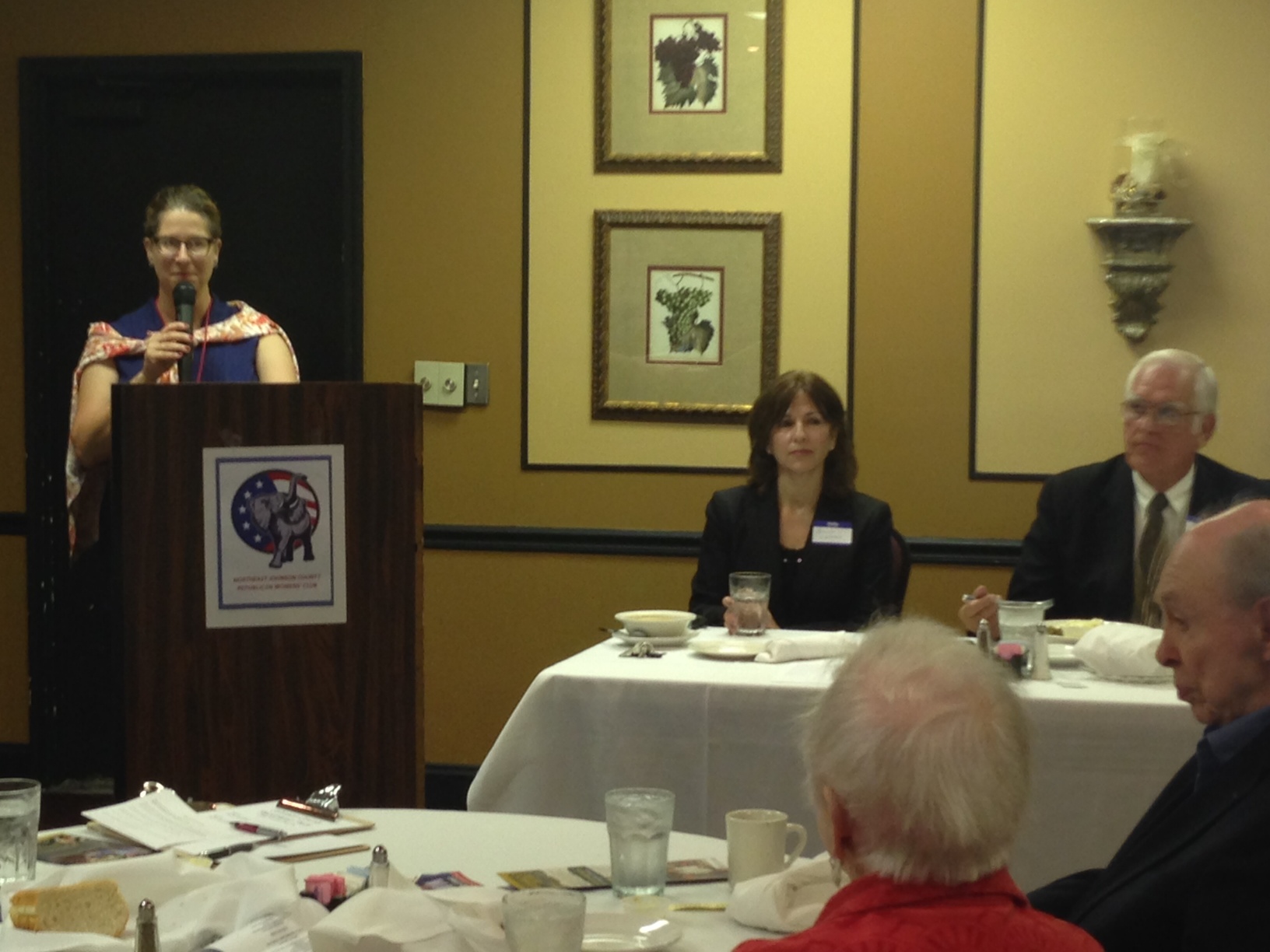Ed Eiler and Patricia Lightner (seated) shared their campaign ideas during the September 2014 monthly membership meeting in Overland Park, KS